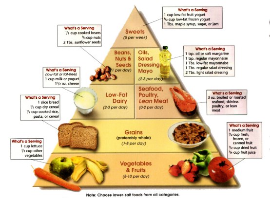 مثلث التغذية السليمة