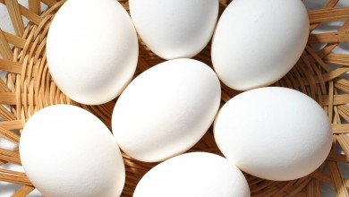 فوائد البيض للشعر