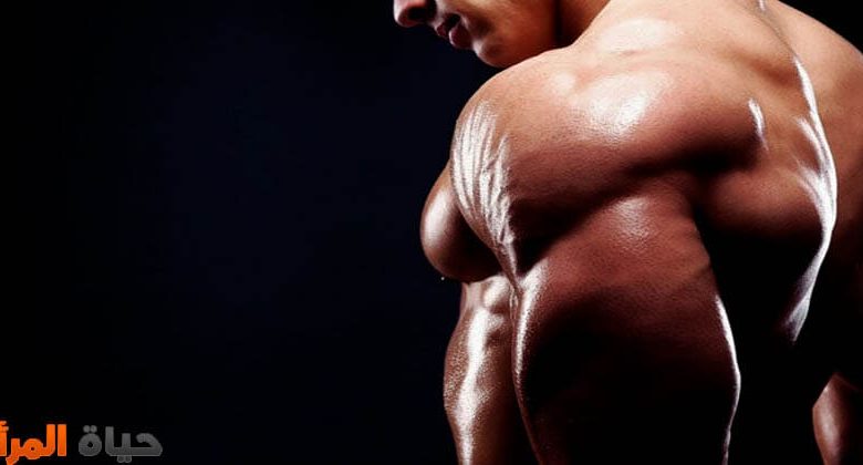 الأطعمة التي تساعد في بناء العضلات