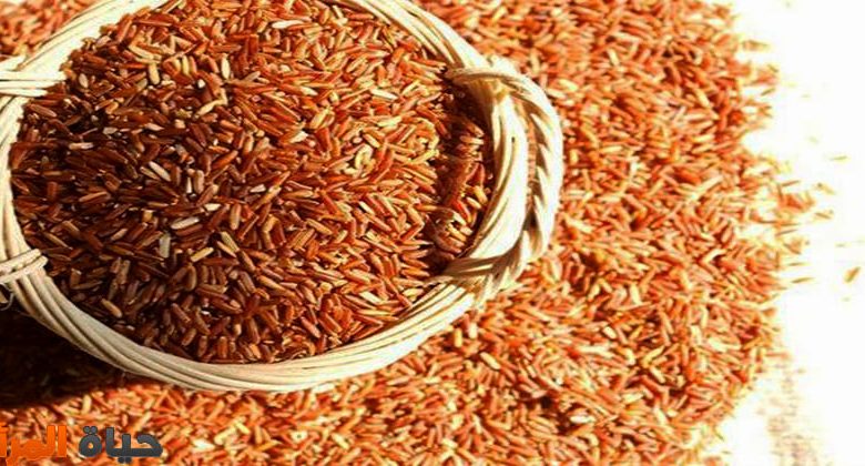 فوائد الأرز البني لصحة الجسم