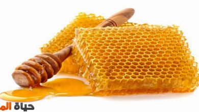فوائد وأضرار شمع العسل